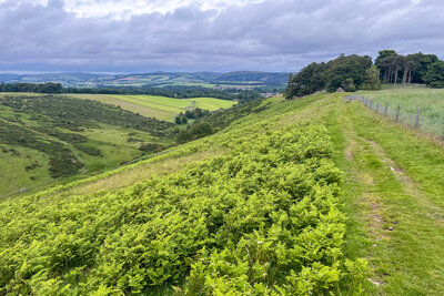 Walk photo