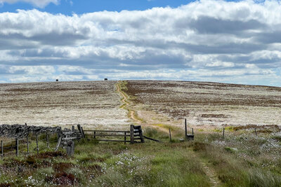 Walk photo