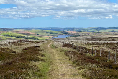 Walk photo