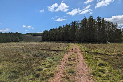 Walk photo