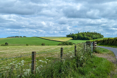 Walk photo