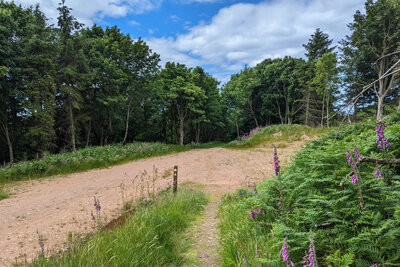 Walk photo