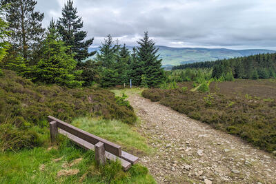 Walk photo