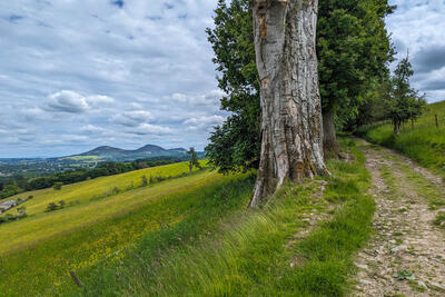 Walk photo
