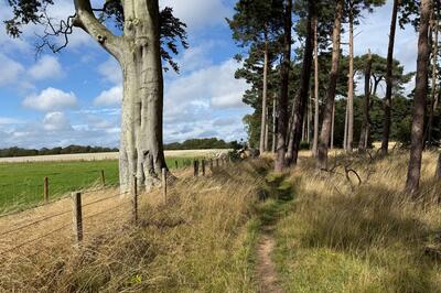 Walk photo