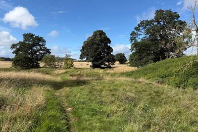 Walk photo