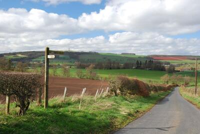 Walk photo