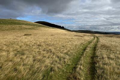 Walk photo