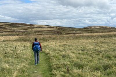 Walk photo