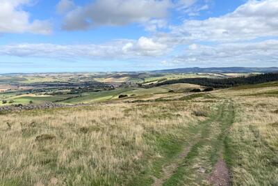 Walk photo