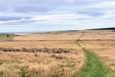 Walk photo