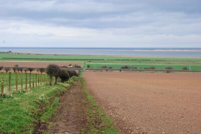 Walk photo