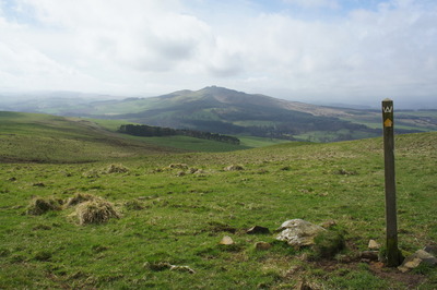 Walk photo