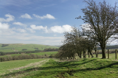 Walk photo