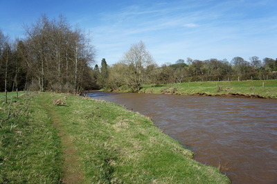 Walk photo