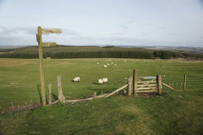 Walk photo