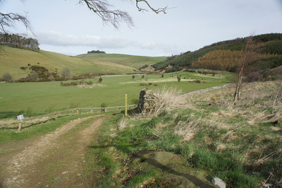 Walk photo