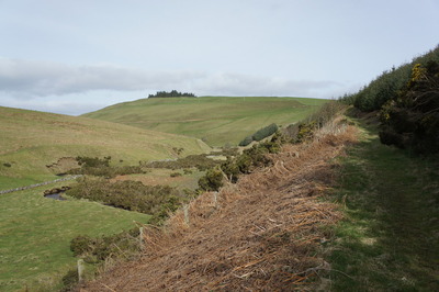 Walk photo
