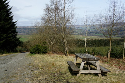 Walk photo
