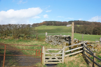 Walk photo