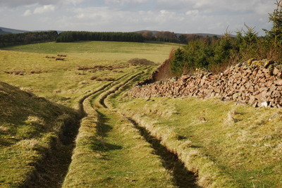 Walk photo