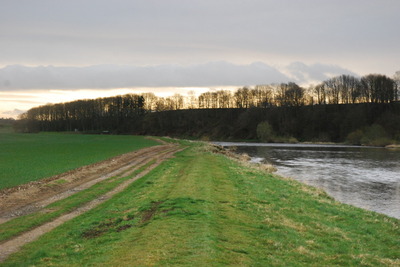 Walk photo