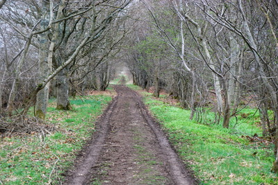 Walk photo