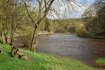 Walk photo