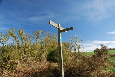 Walk photo
