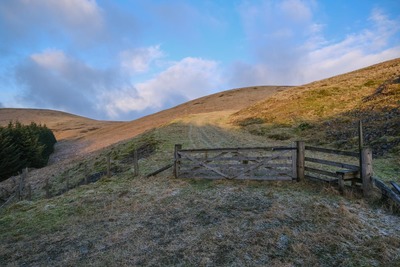 Walk photo