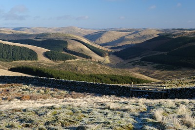 Walk photo