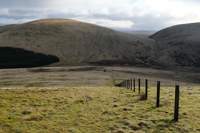 Walk photo