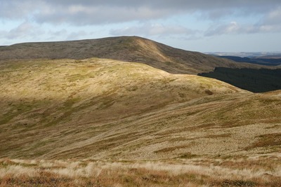 Walk photo