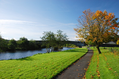 Walk photo