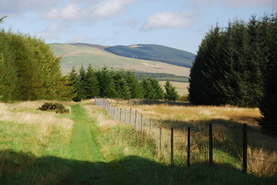 Walk photo