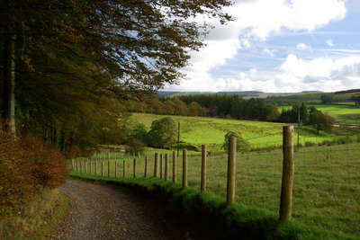 Walk photo