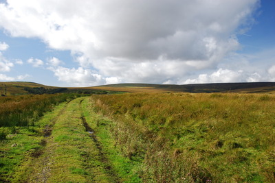 Walk photo