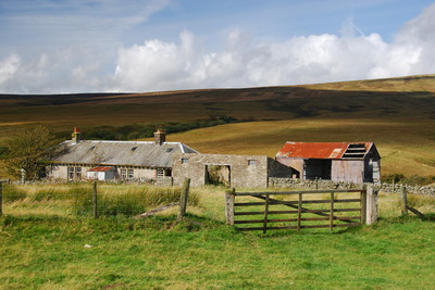 Walk photo
