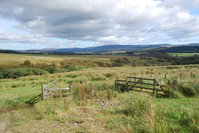 Walk photo