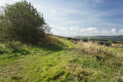Walk photo