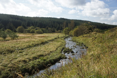 Walk photo