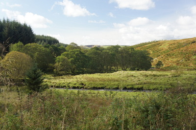 Walk photo
