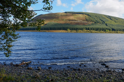 Walk photo