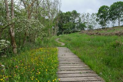 Walk photo