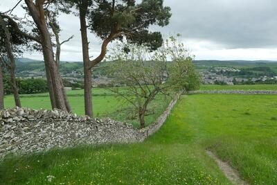Walk photo