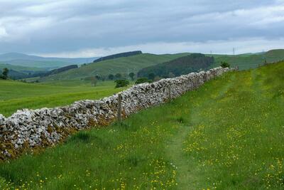 Walk photo