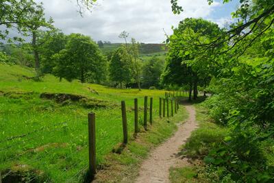 Walk photo