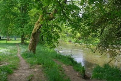 Walk photo