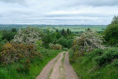 Walk photo