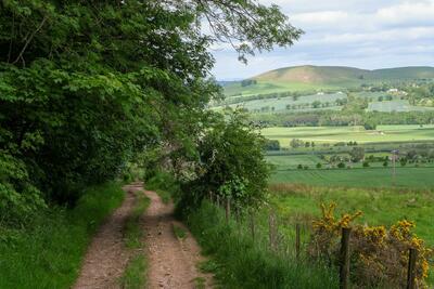 Walk photo